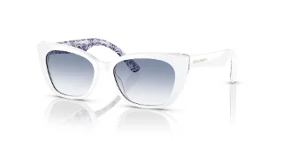 337119 White On Blue Maiolica