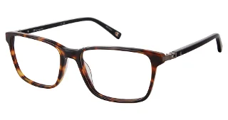 C02 Tortoise