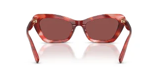 Coach Sunglasses HC8452U