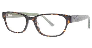 550 Tortoise