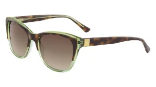 218 Tortoise Green