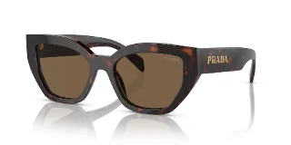 16N5Y1 Briar Tortoise