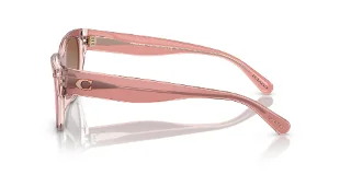 Coach Sunglasses HC8370U