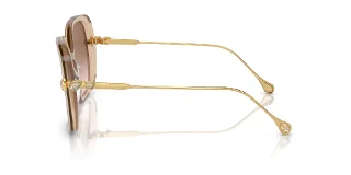 Swarovski Sunglasses SK6011