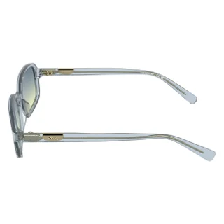 Longchamp Sunglasses LO818S