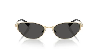 Coach Sunglasses HC7196D