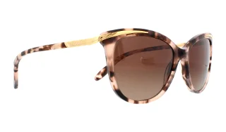 Ralph Sunglasses RA5203