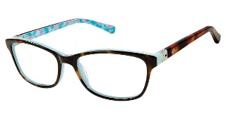 C02 Tortoise/Turquoise