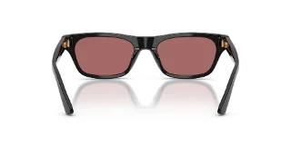 Polo Sunglasses PH4238U