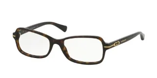 5001 Tortoise