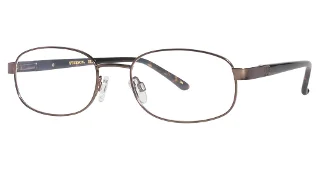 Stetson Eyeglasses 289