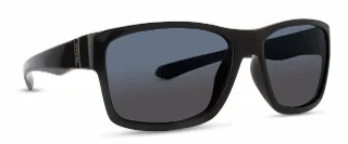 INVU Sunglasses INVU-115