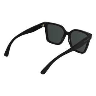 Longchamp Sunglasses LO802S