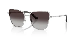 30028G Silver