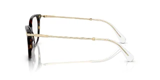 Swarovski Eyeglasses SK2010