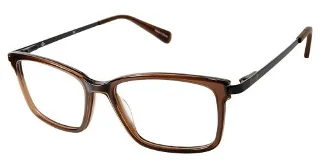 C01 Trans Brown