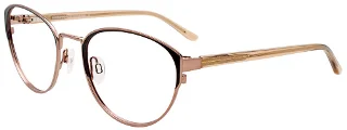 Easyclip Eyeglasses EC603