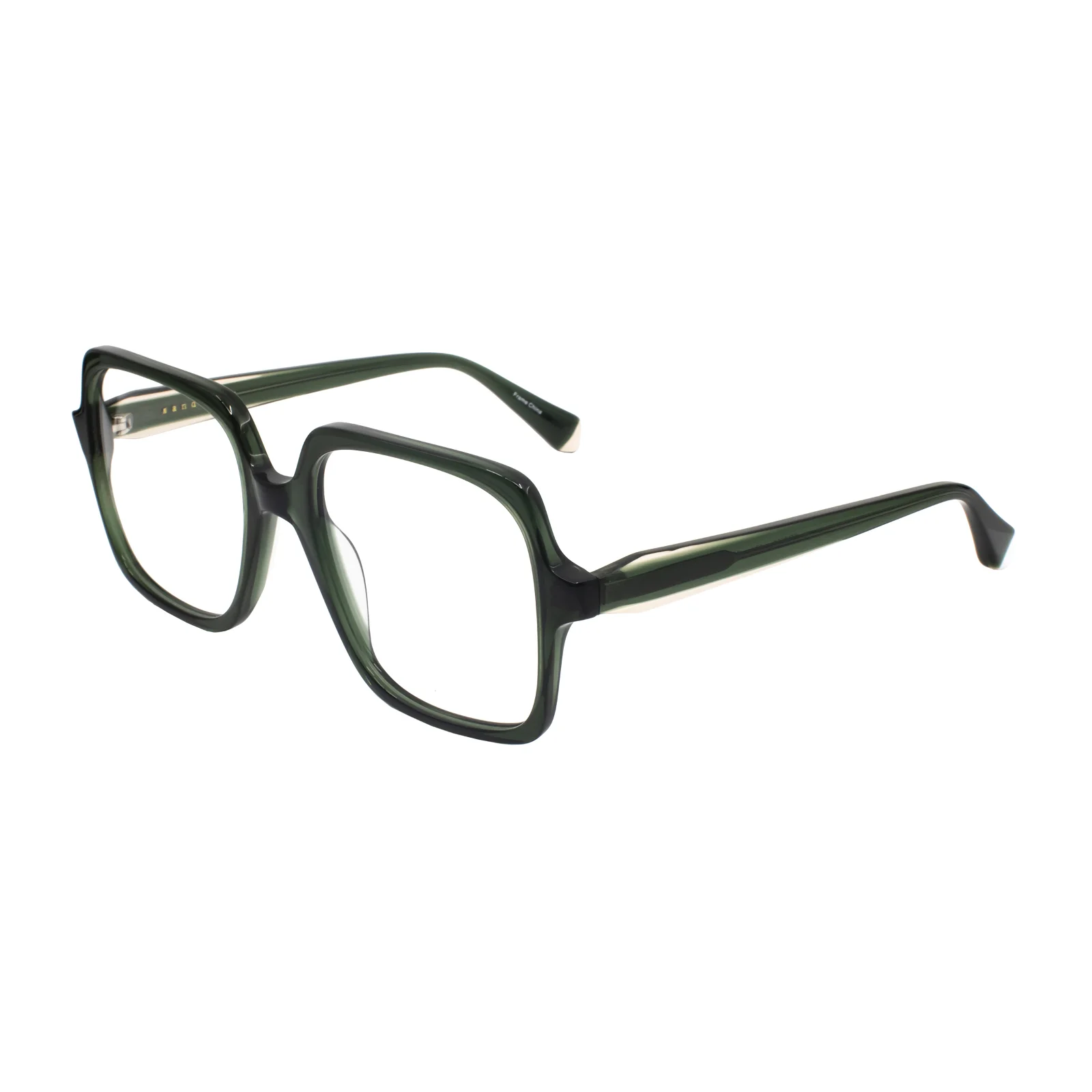 Sandro Eyeglasses SD 2031