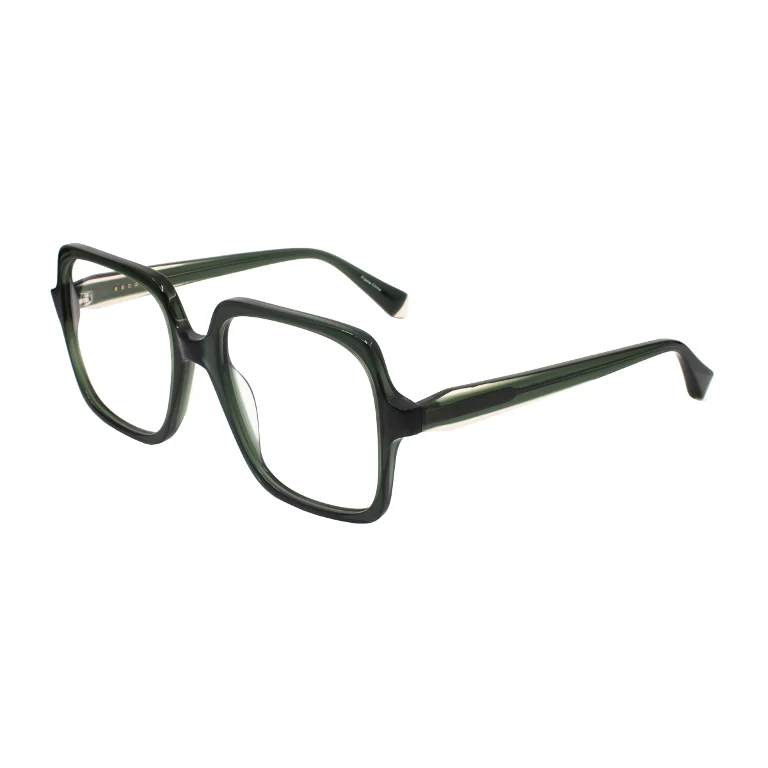Sandro Eyeglasses SD 2031