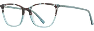 C03 Aqua Tortoise