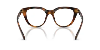Swarovski Eyeglasses SK2052