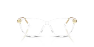 Dolce & Gabbana Eyeglasses DX3002