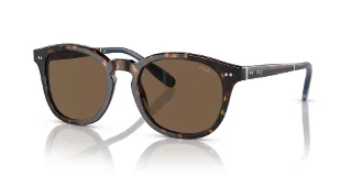 500373 Shiny Dark Havana