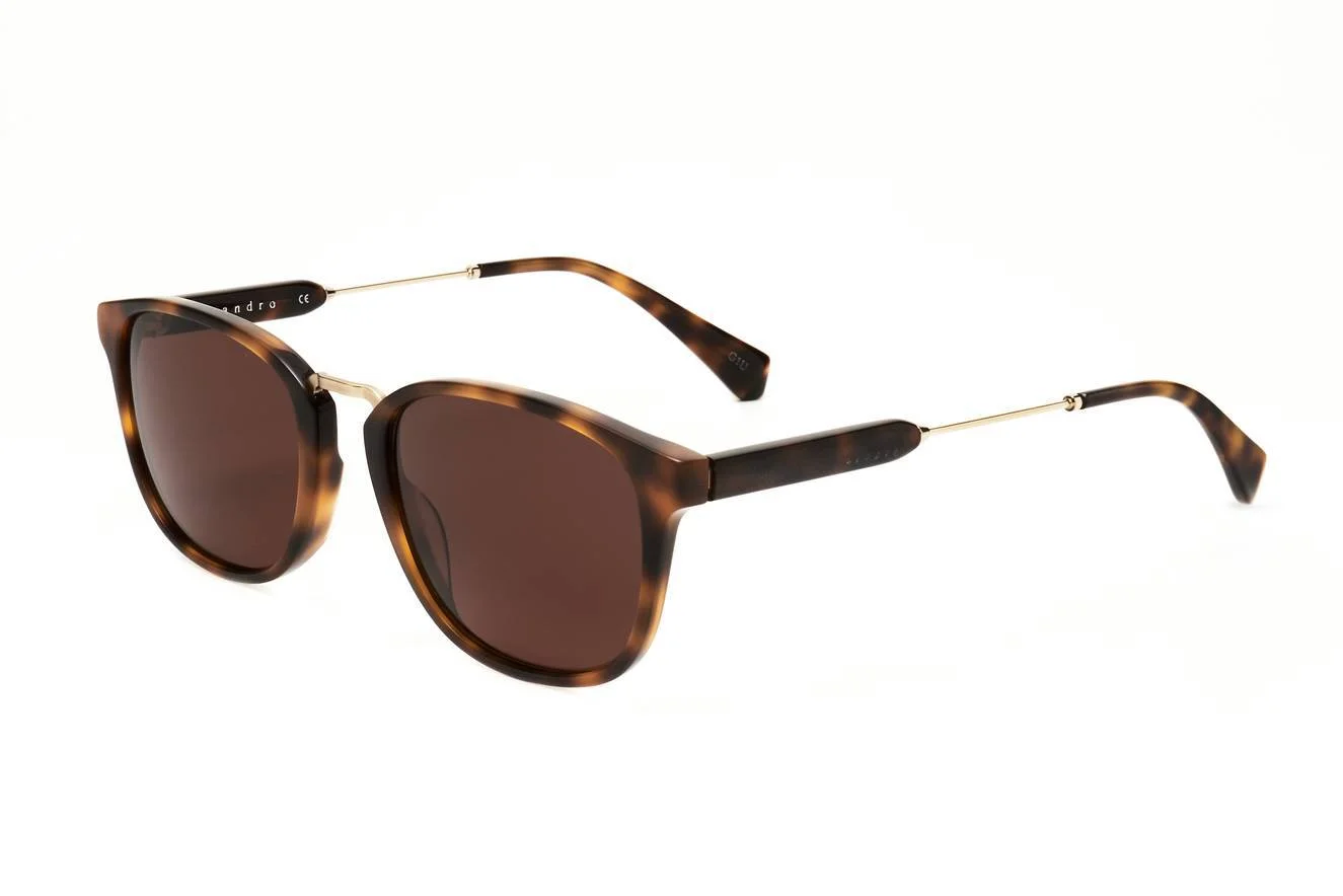 Sandro Sunglasses SDS1007