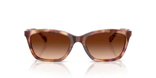 Emporio Armani Sunglasses EA4238