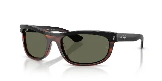 144058 Black On Havana