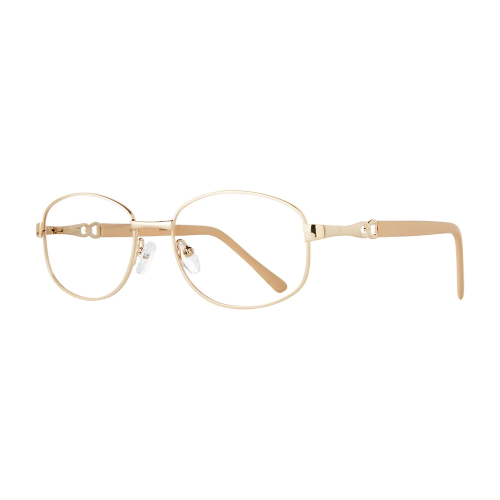 Stylewise Eyeglasses SW461