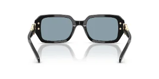 Coach Sunglasses HC8425U