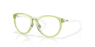 802705 Polished Transparent Fern