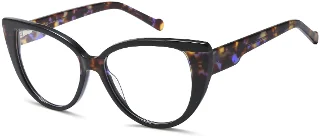 Black Tortoise