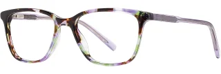 C02 Grape Lime Tortoise