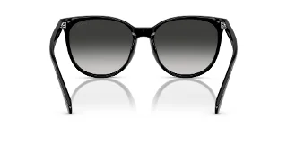 Coach Sunglasses HC8414BD