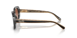 Coach Sunglasses HC8358U