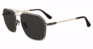 Police Sunglasses SPLF64
