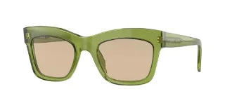 295393 Transparent Green
