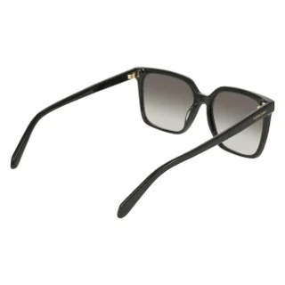 Salvatore Ferragamo Sunglasses SF2102S