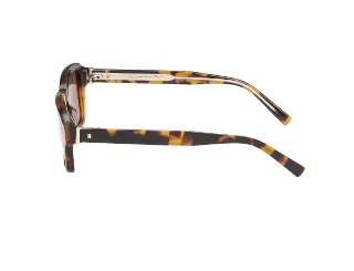 Abercrombie & Fitch Sunglasses AF00036