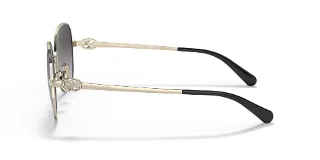 Coach Sunglasses HC7123