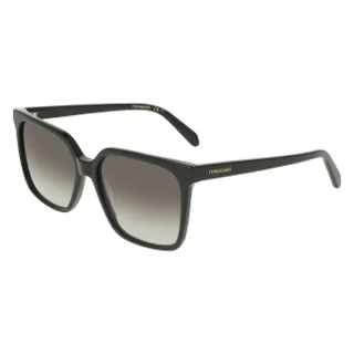 Salvatore Ferragamo Sunglasses SF2102S