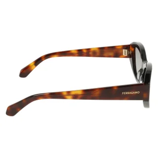 Salvatore Ferragamo Sunglasses SF2104S
