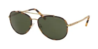 116371 Tokyo Tortoise/Gold-Tone