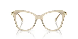 Swarovski Eyeglasses SK2012
