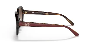 Coach Sunglasses HC8335U