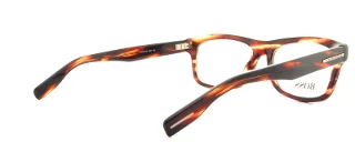Hugo Boss Eyeglasses 0519