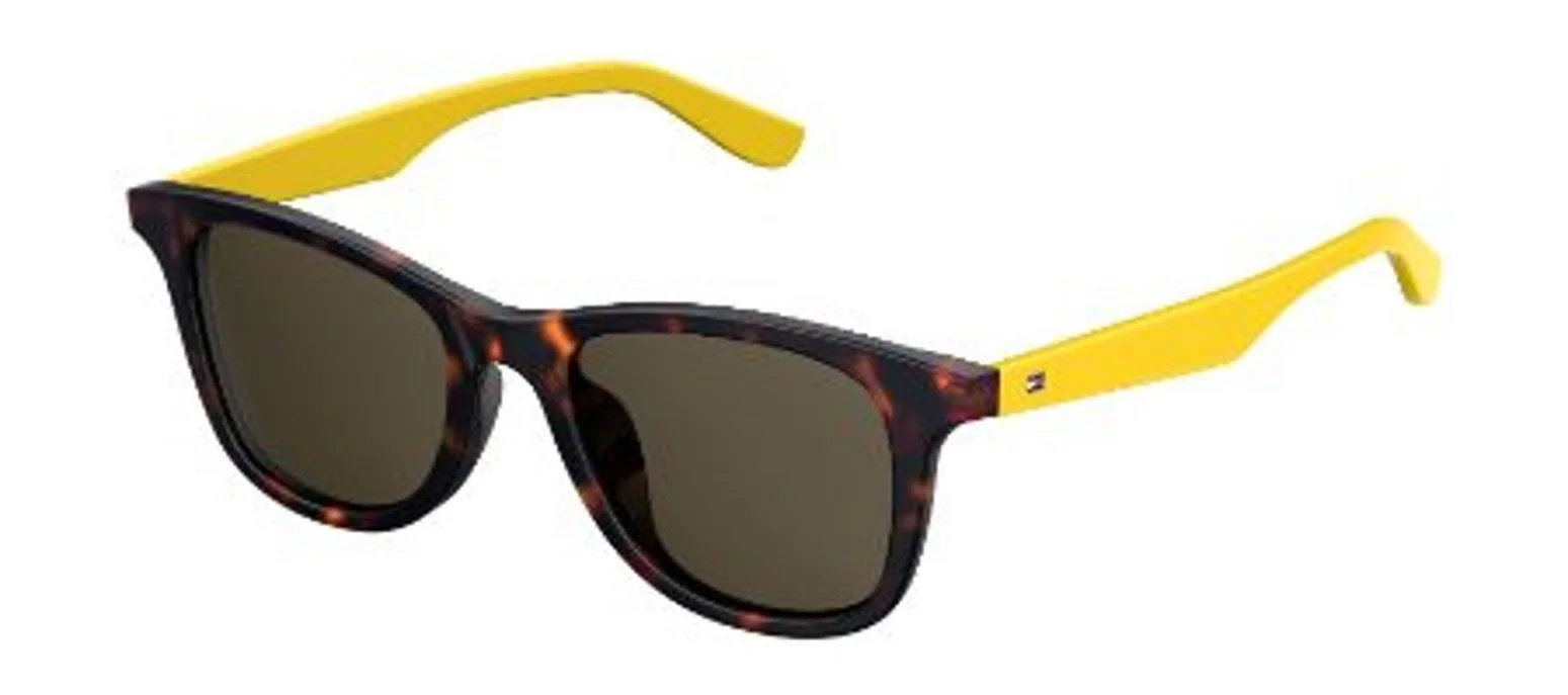 Tommy Hilfiger Sunglasses TH1506/F/S 0086/70