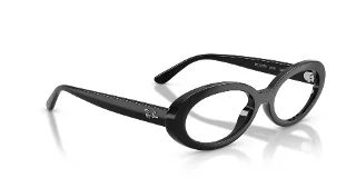 Ray Ban Eyeglasses RX2223V